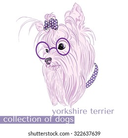 Collection of purebred dogs in the vector. Yorkshire terrier. Girl.