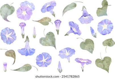 A collection of purple morning glory flowers and leaves