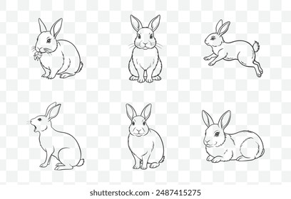 Collection of Rabbit Line Art Vector Illustrations