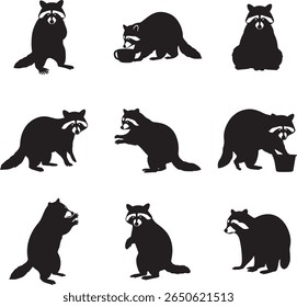 Coleção de poses de guaxinim e ações em um estilo simples de silhueta preta