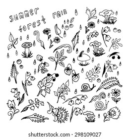 Collection of rain in summer forest vector illustration