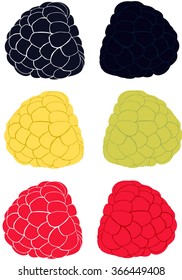 Collection with raspberries and blackberries