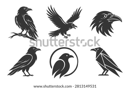 Collection of raven bird vector illustrations for dark and fantasy aesthetics