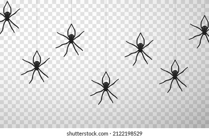 Collection realistic black spiders vertical hanging on web vector illustration. Set dangerous creepy insects with many legs on net isolated on transparent. Trap of fear arachnid spinner with poison