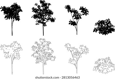 A collection of realistic black tree silhouette illustrations featuring deciduous trees, evergreens, and natural vegetation. Ideal for landscapes, architectural renderings, garden plans, maps, icons, and a wide range of graphic design projects. Vector illustration.