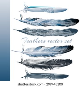 Collection of realistic blue feathers for design