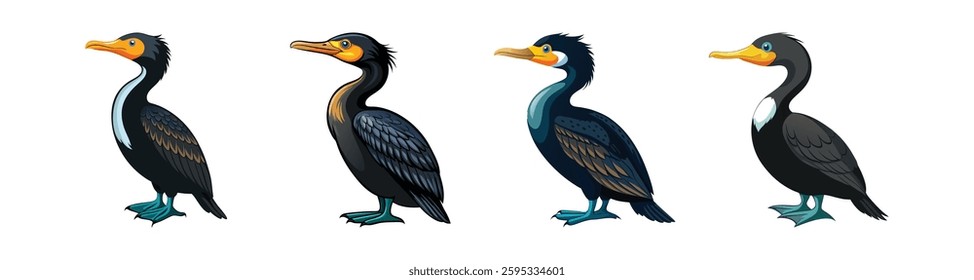 Collection of Realistic Brandts Cormorant Illustration