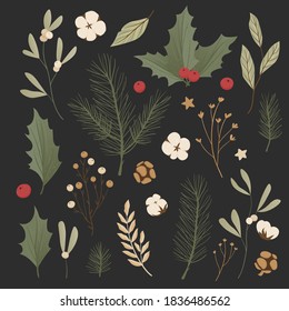 Colección de ramas de árboles de navidad realistas, abetos y holly, ilex.