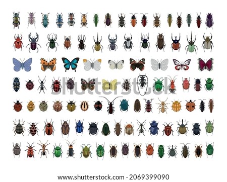 Collection of realistic colorful insects.