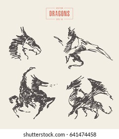 Collection of realistic dragons for logo, hand drawn vector illustration, sketch