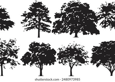Collection Realistic Group Trees Isolated silhouettes, vector illustrator