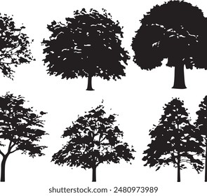 Collection Realistic Group Trees Isolated silhouettes, vector illustrator