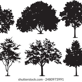 Collection Realistic Group Trees Isolated silhouettes, vector illustrator