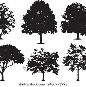 Collection Realistic Group Trees Isolated silhouettes, vector illustrator