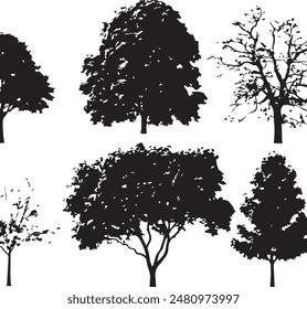 Collection Realistic Group Trees Isolated silhouettes, vector illustrator