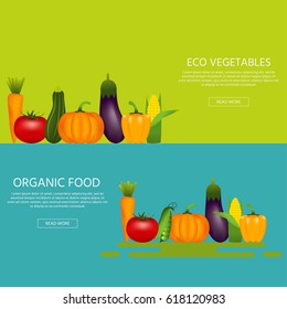 Collection of realistic healthy vegetables  such as: carrot, tomato, pepper, eggplant, pumpkin, marrow, zucchini. Quality vector banner about diet, eco food.