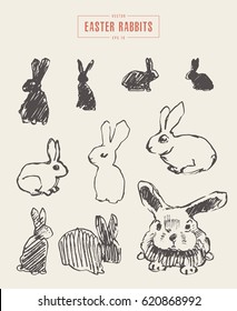 Collection of realistic rabbits, hand drawn vector illustration, sketch
