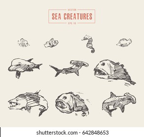 Collection of realistic sea creatures, hand drawn vector illustration, sketch