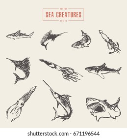 Collection of realistic sea creatures, hand drawn vector illustration, sketch