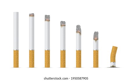 Collection of realistic smoldering cigarettes various length vector illustration. Set of colorful fired cigar with filter tobacco smoking isolated on white. Unhealthy addiction or habit nicotine smoke