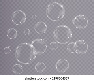 Colección de burbujas de jabón realistas. Las burbujas se encuentran en un fondo transparente. Burbuja de jabón volador vectorial. Bubble PNG Burbuja de vidrio de agua png realista