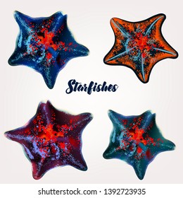 Collection of realistic starfishes for design