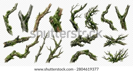 A collection of realistic tree branches and roots covered in green moss, depicted on a transparent background.