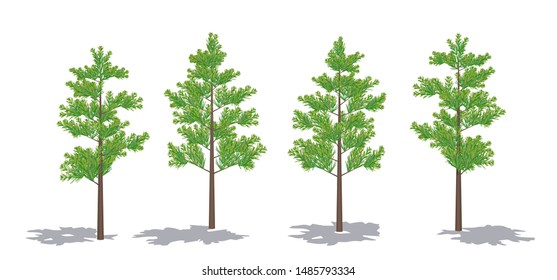 Collection of realistic trees, Bamboo, and flower. Perspective view and white background.- Vector