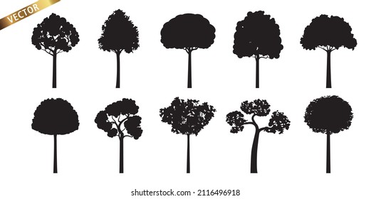 Collection of Realistic Trees with Black Leaves. Vector Illustration isolated on White Background.