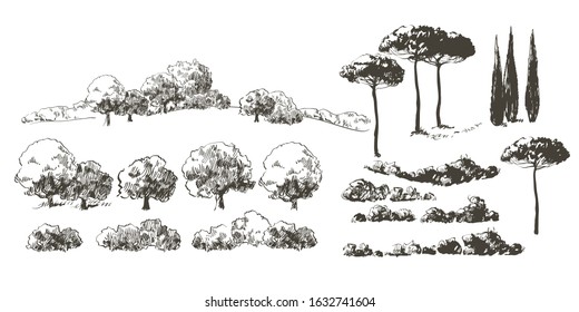 Collection of realistic trees  island with leaves. Orchard, fruit plants, shrubs bushes. Forest line pines, cypresses, thuja, maple, oak, poplar. Set of garden yard silhouettes. Vector  illustration