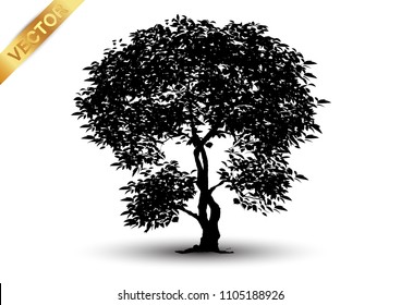 Collection  Realistic  Trees Isolated on White Background
tree silhouette isolated on white background.