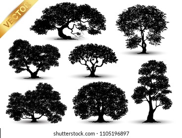 Collection Realistic Trees Isolated On White Stock Vector (Royalty Free ...