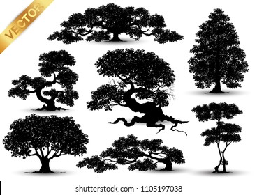 Collection  Realistic  Trees Isolated on White Background
tree silhouette isolated on white background.