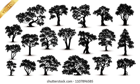 Collection  Realistic  Trees Isolated on White Background
tree silhouette isolated on white background.