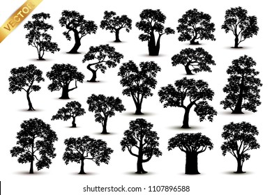 Collection  Realistic  Trees Isolated on White Background
tree silhouette isolated on white background.
