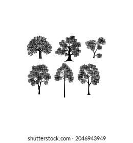 Collection Realistic Trees Isolated on White Background.
