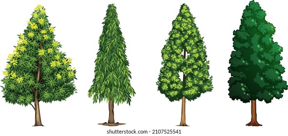 Collection Realistic Trees Isolated on White Background.