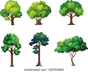 Collection Realistic Trees Isolated on White Background.