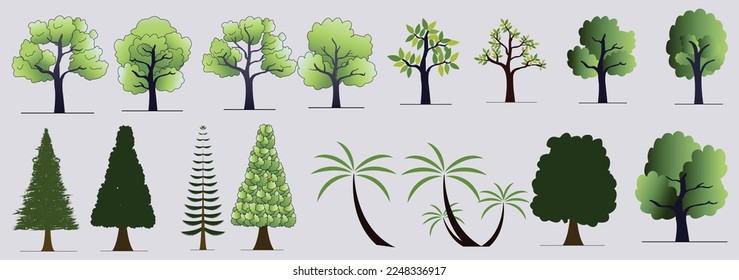 Collection of realistic trees isolated on white background. Suitable for a beautiful, architectural use. Used with both natural articles in design, decorative work, print and website.