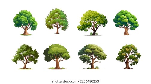 Collection of realistic trees isolated on white background. Beautiful trees.