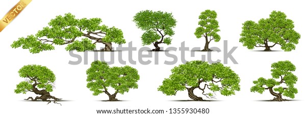 Collection Realistic Trees Isolated On White Stock Vector (Royalty Free ...