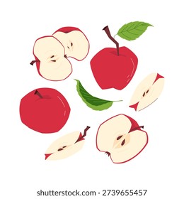 Collection of red apples whole, halved and sliced with seeds and leaves, fresh fruit set isolated on light background, flat vector