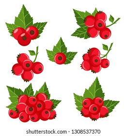 Collection of red currants. Vector icon berry and green leaves  in cartoon style. Isolated on white background - Vector