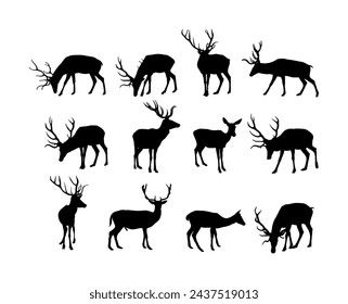 Colección Ilustración vectorial de silueta de ciervo rojo aislado sobre fondo blanco. Símbolo de la forma de familia de renos, orgulloso macho noble de ciervo en el bosque o zoológico. Poderoso buck con enormes cuernos de pie.