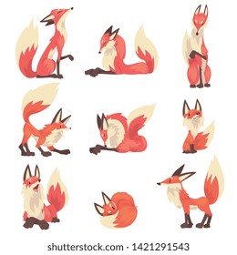 Collection of Red Foxes Characters Cartoon Vector Illustration