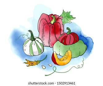 Collection of red and green autumn pumpkins. Fall harvest. Vector stock set. Cute cartoons with watercolor texture. Halloween, thanksgiving. Food background. Hand drawn design elements. 