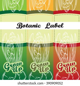 Collection of red, green, orange vector labels with hyacinth bulbs