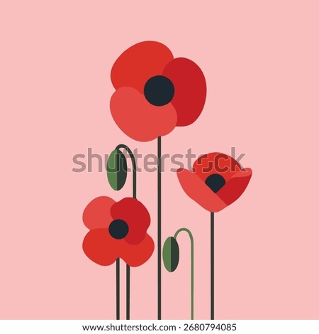 A collection of red poppies in an illustration