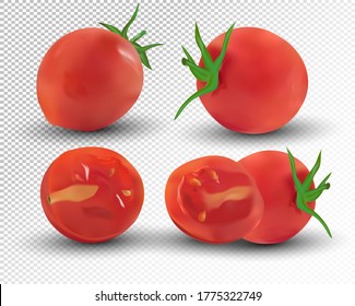 Collection red of tomato are whole and cut in half. Fresh tomato on transparent background. 3d realistic tomato from different angles. Nature product. Vector illustration. 