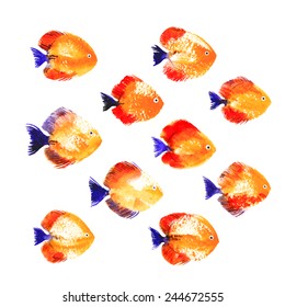 Collection of red vector watercolor discus fish